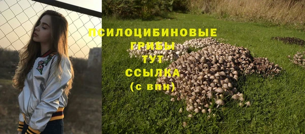 ГАЛЛЮЦИНОГЕННЫЕ ГРИБЫ Армянск