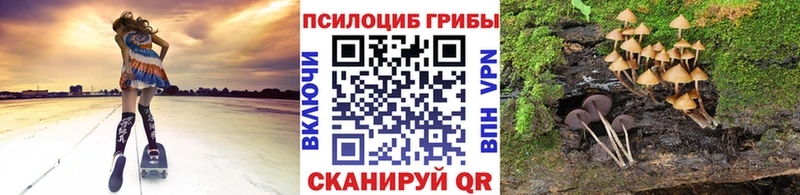 Псилоцибиновые грибы Magic Shrooms закладки Изобильный